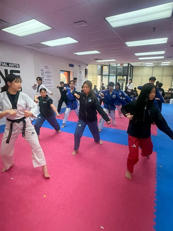 ONE TAEKWONDO MARTIAL ARTS class training session