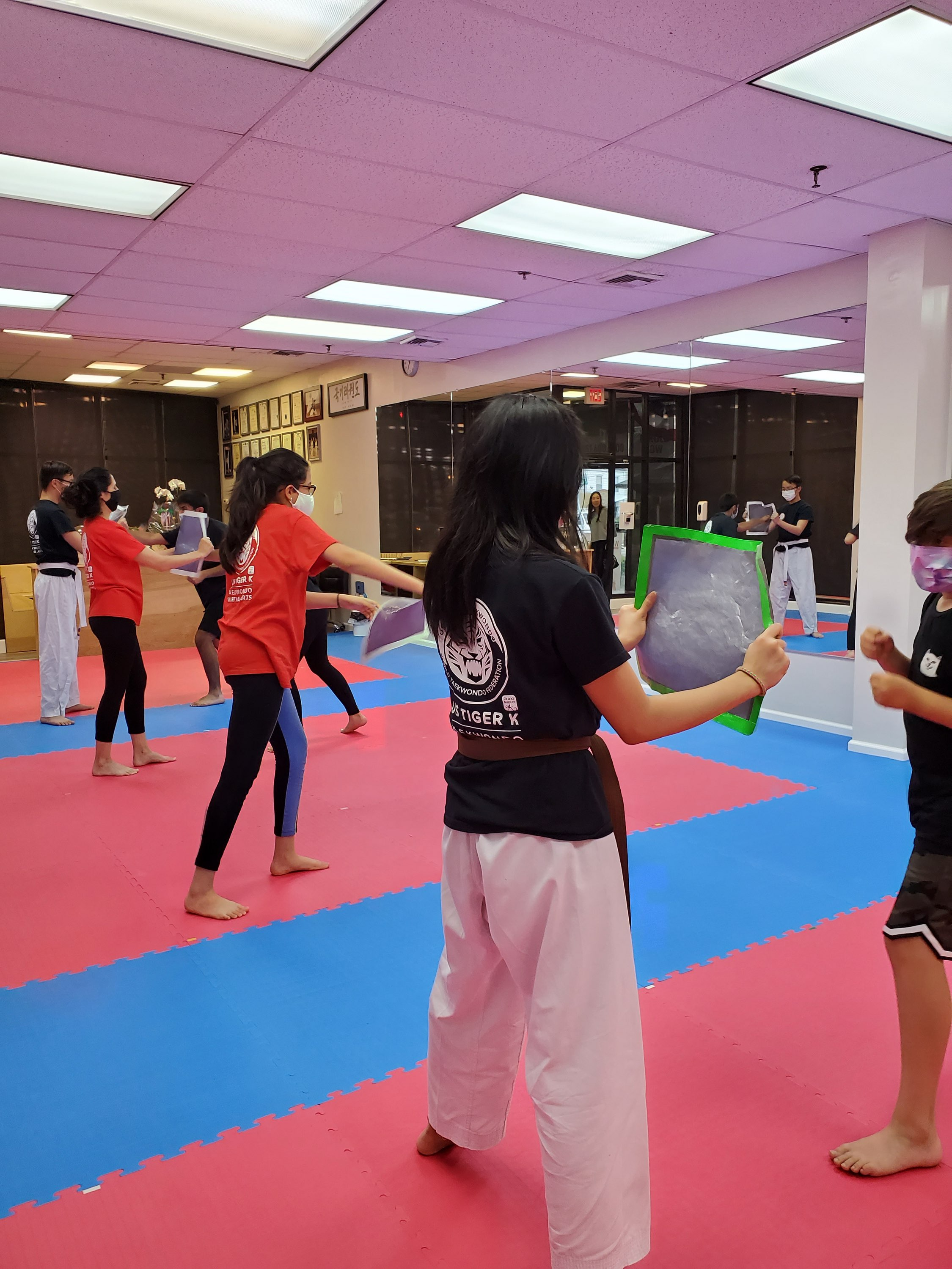 Adult Taekwondo strength and self-defense training