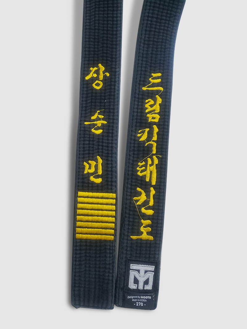 Grand Master Soon Min Jang 7