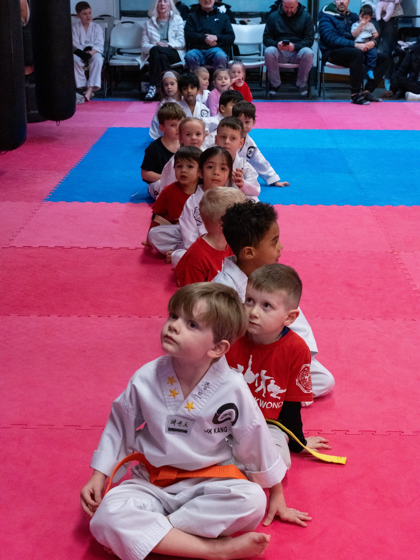 JK Kang Taekwondo Little Tiger students training