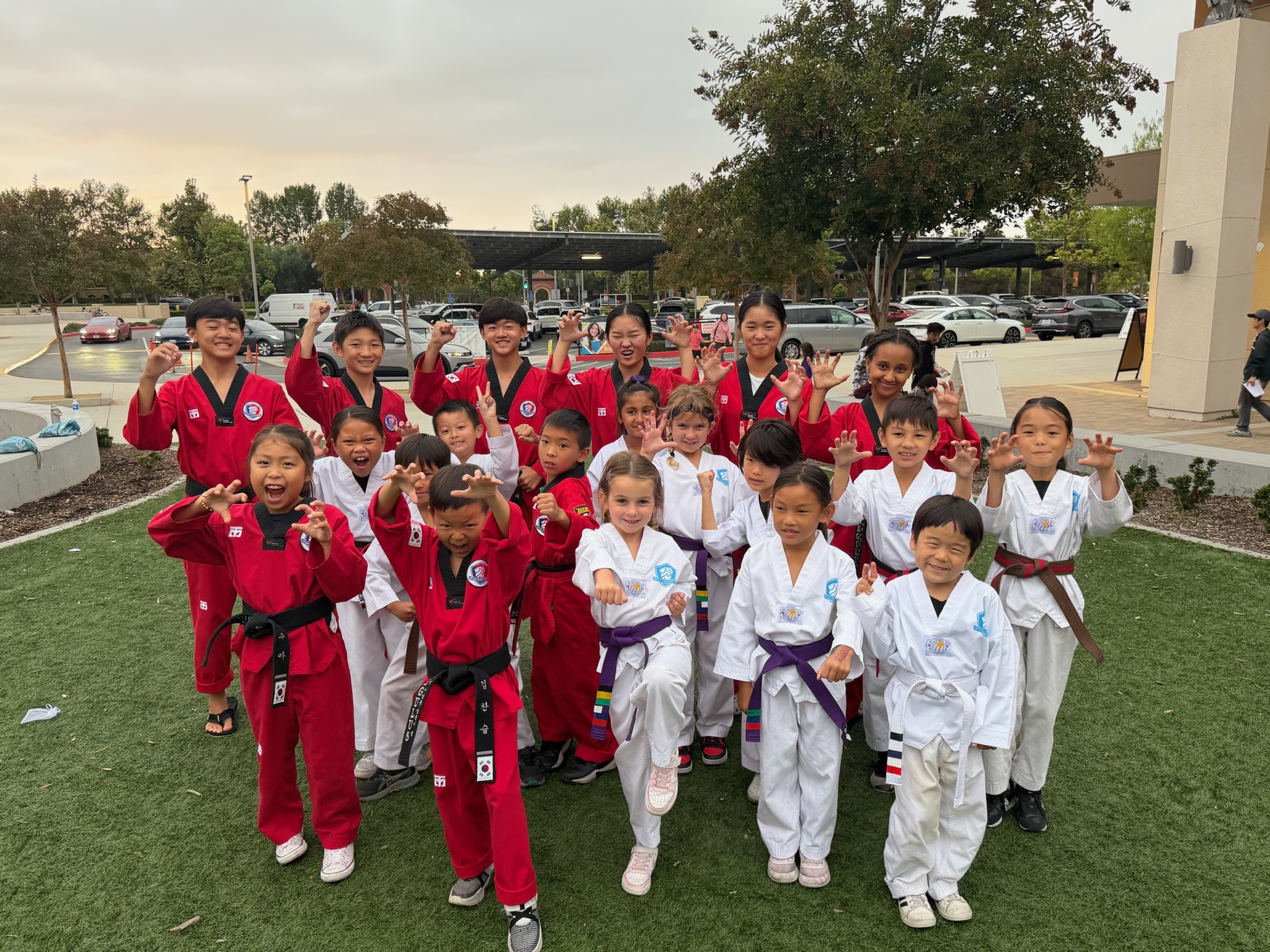 Regulus Taekwondo
