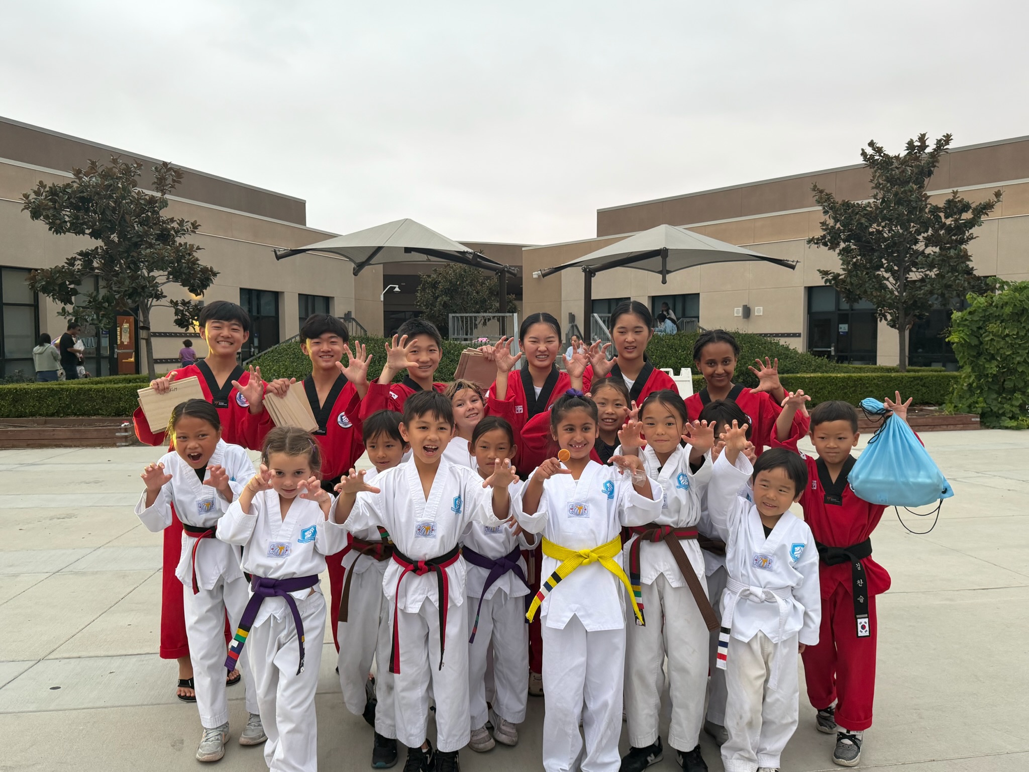 Regulus Taekwondo