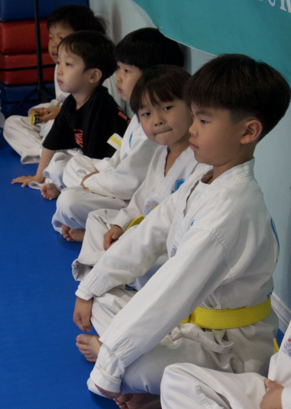 Regulus Taekwondo
