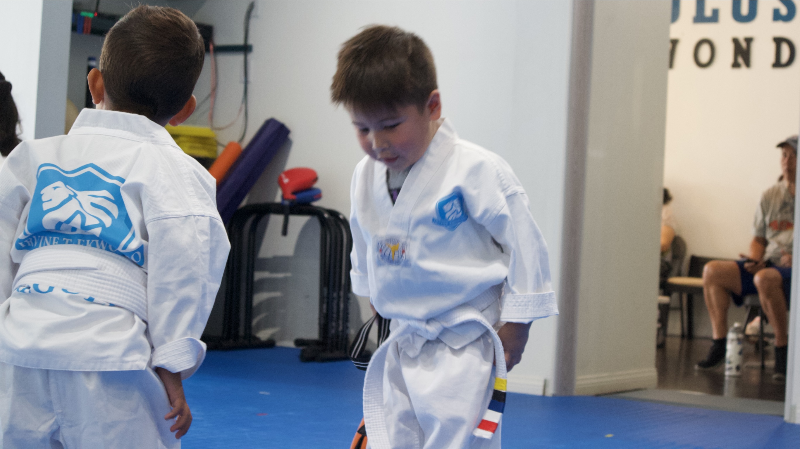 Regulus Taekwondo