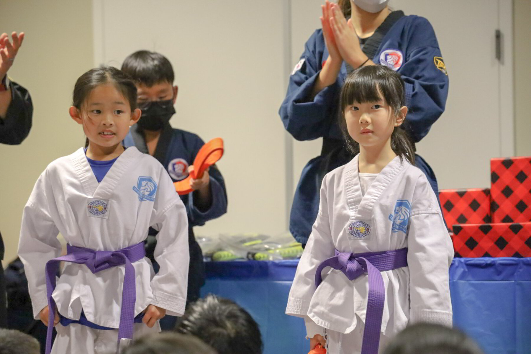 Regulus Taekwondo class moment