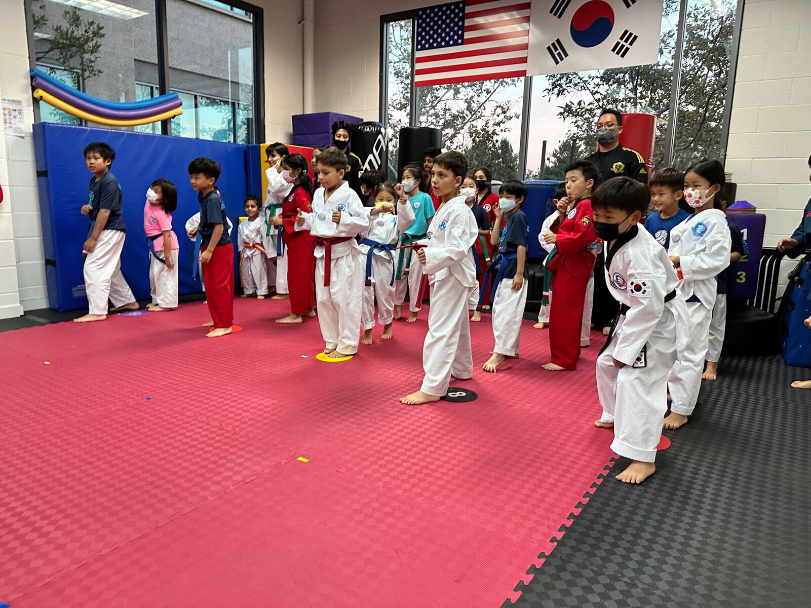 Regulus Taekwondo dojang