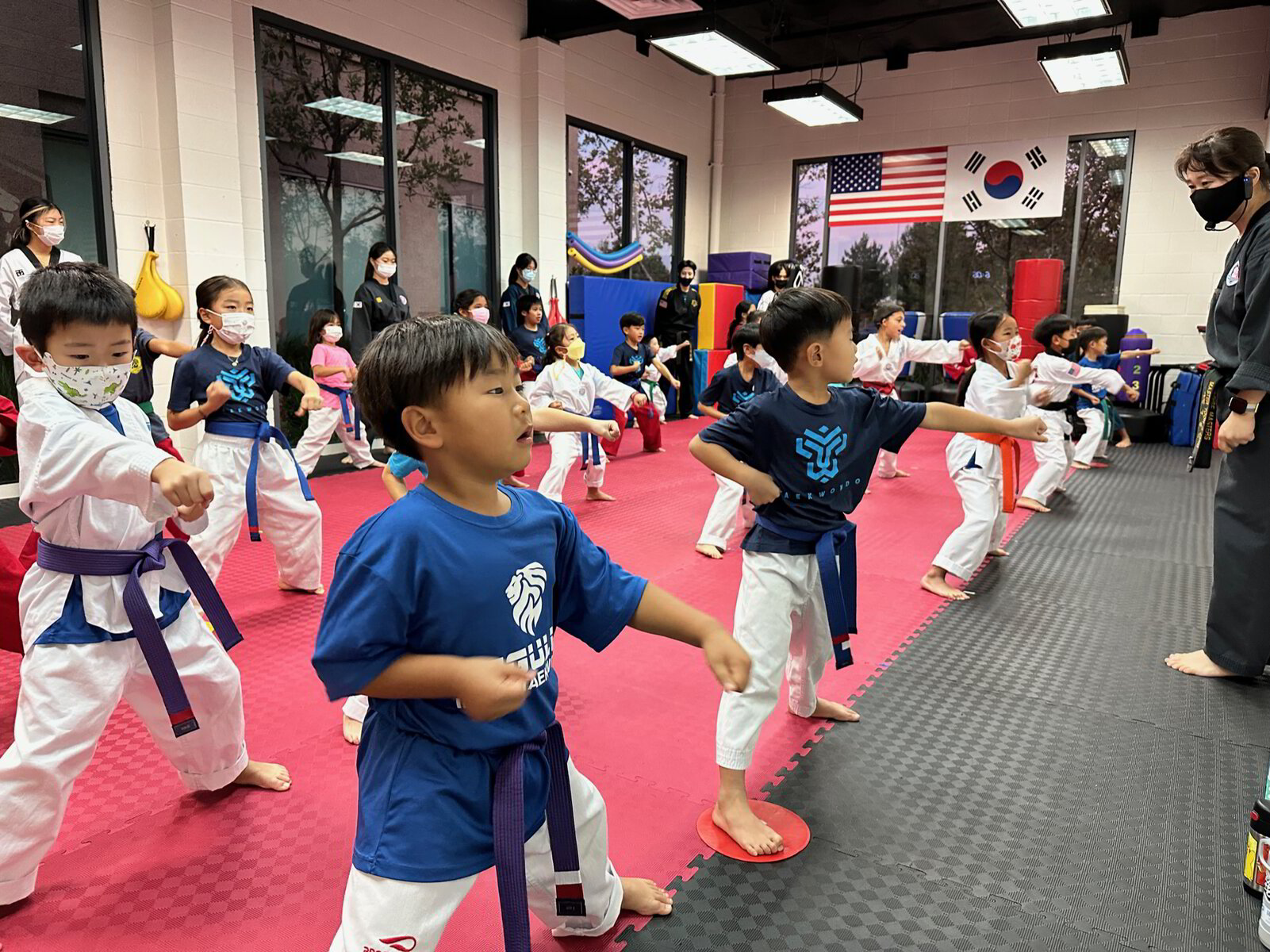 Regulus Taekwondo class