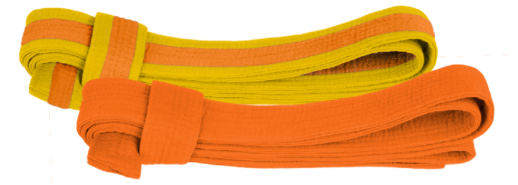 Orange Stripe Orange Belt