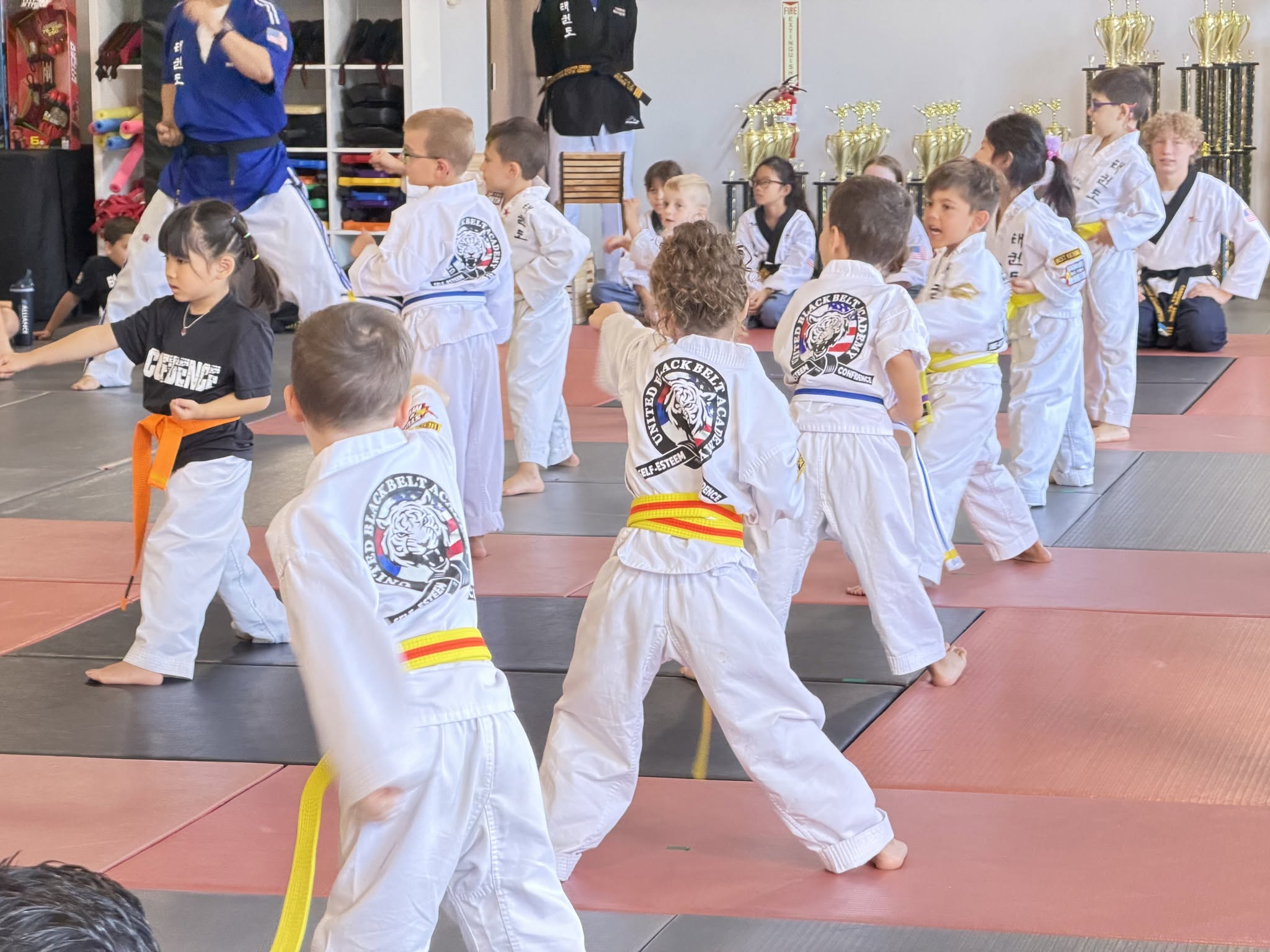 Tiny Tigers martial arts program