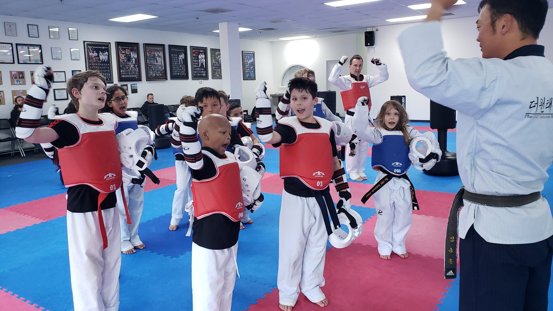 Taekwondo training session