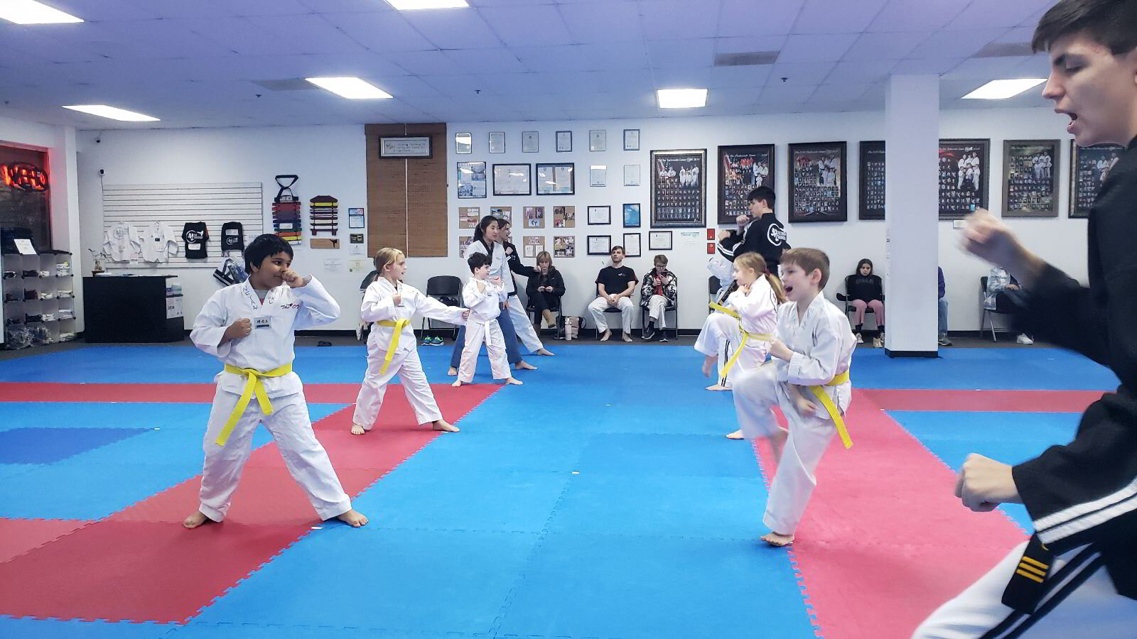 Taekwondo class in action
