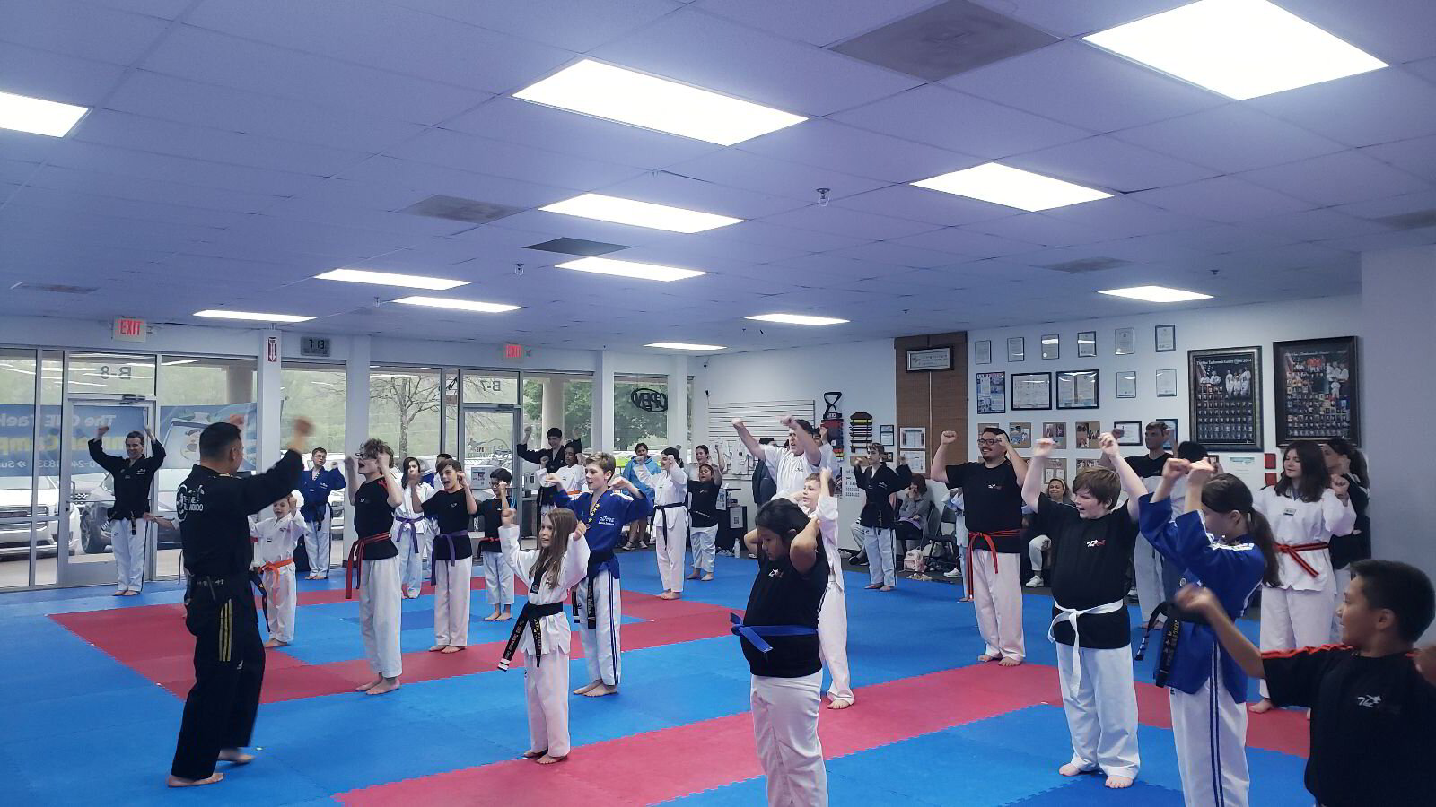 Teen, adult and family Taekwondo class