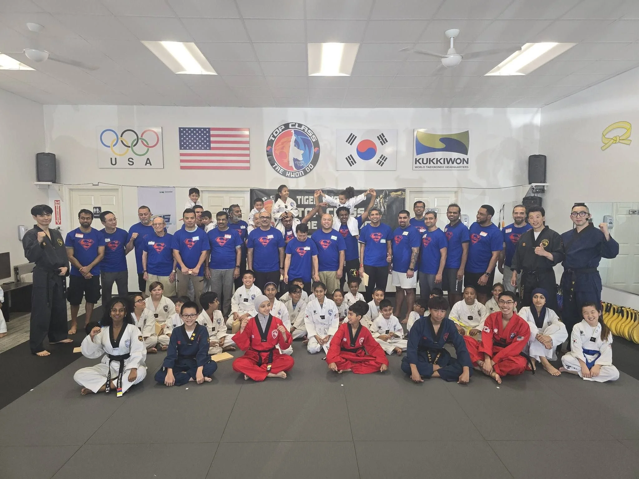 Taekwondo Master Teaching Students