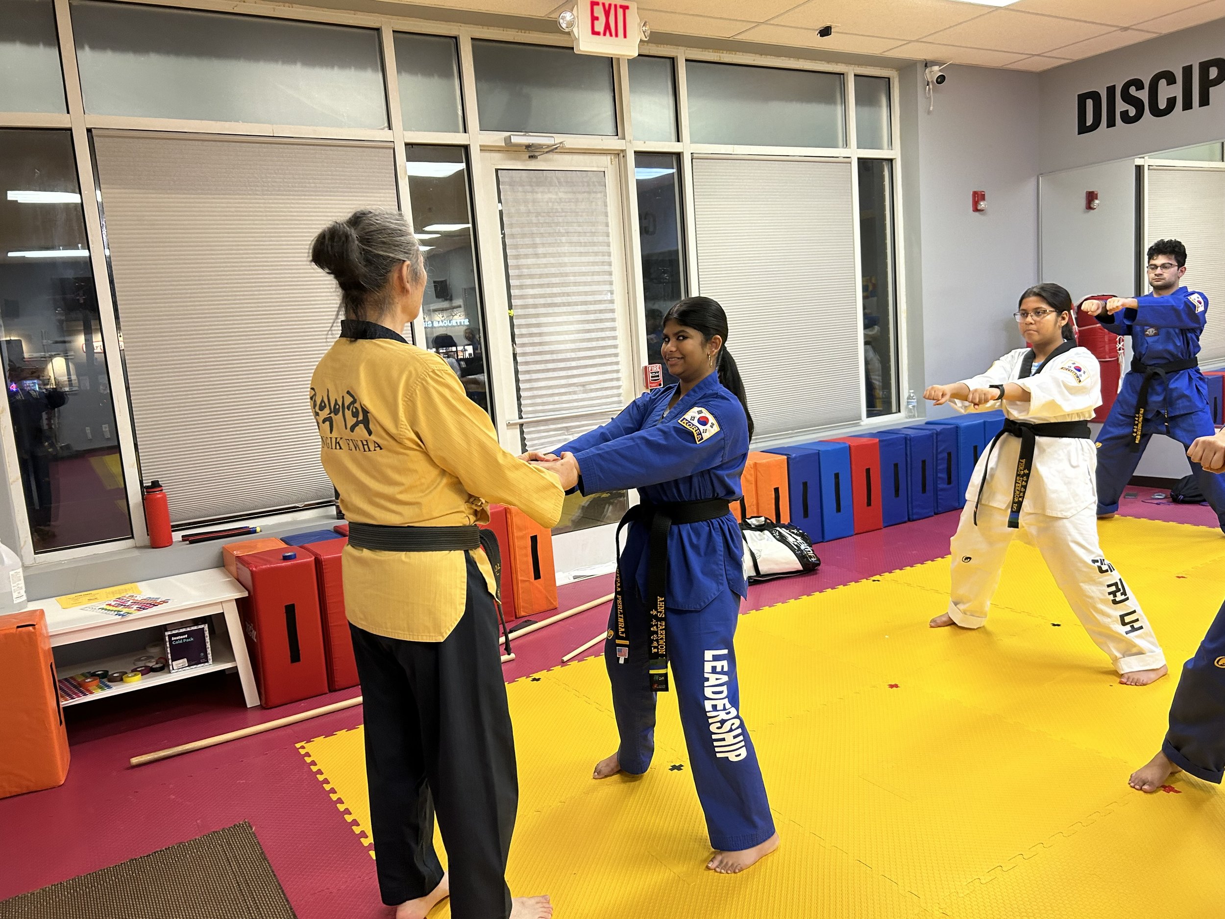 Taekwondo Master Teaching Students