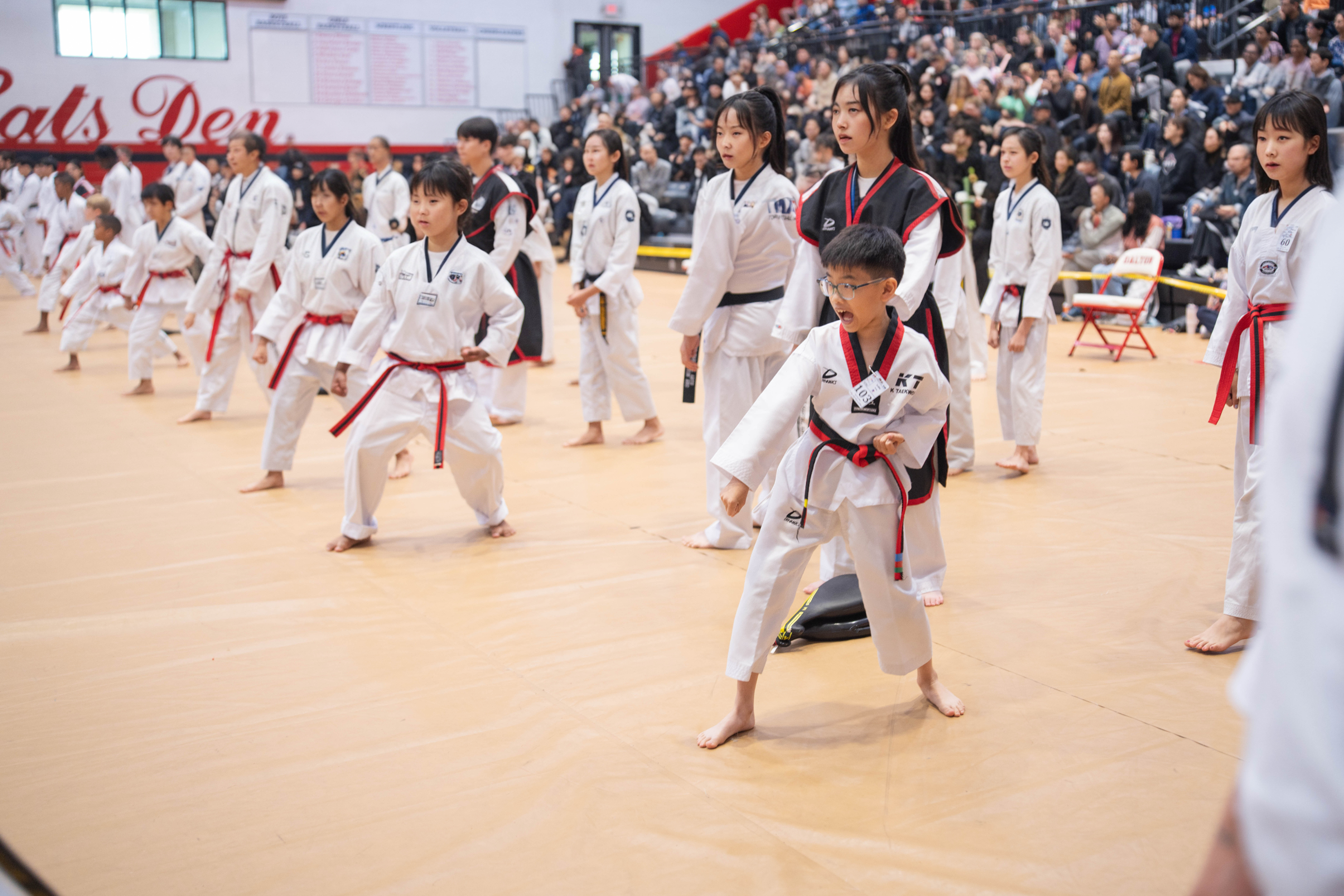 Team poomsae competition performance