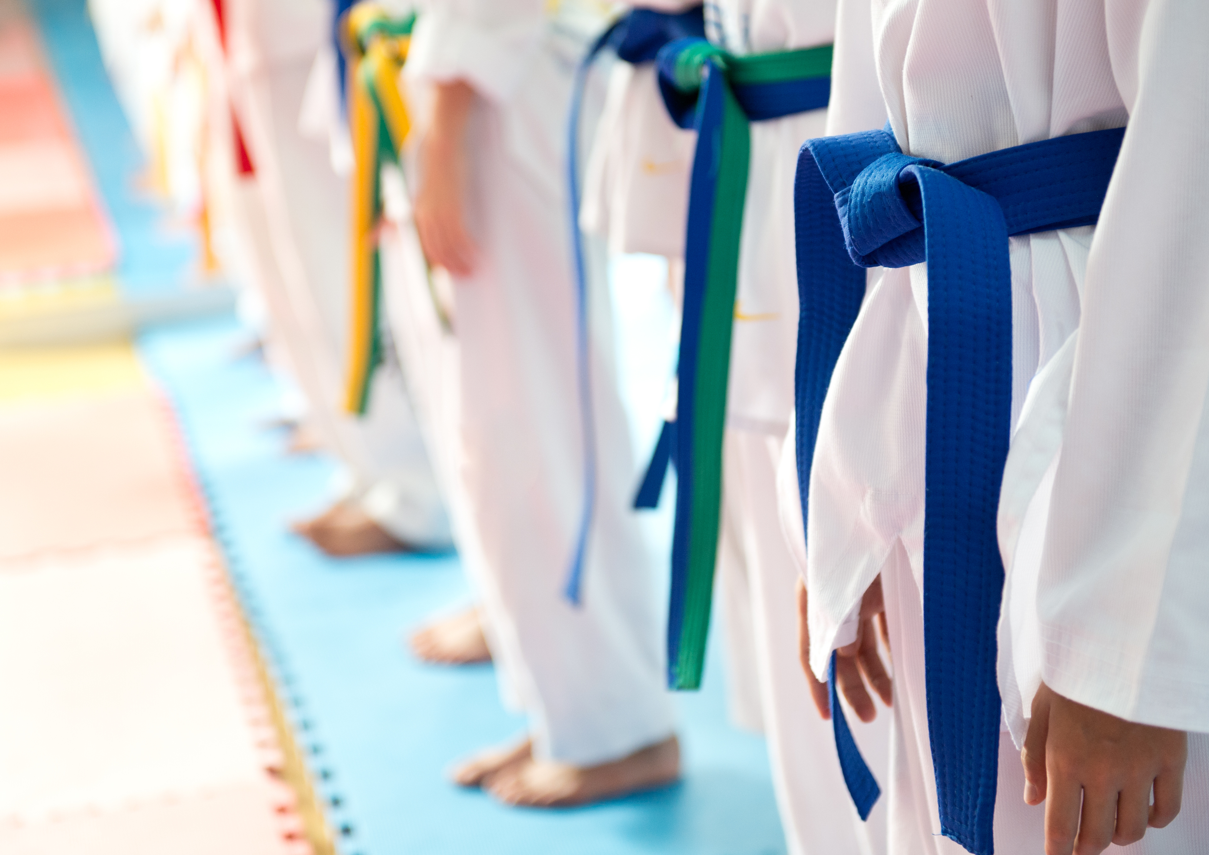 Students lined up by belt rank