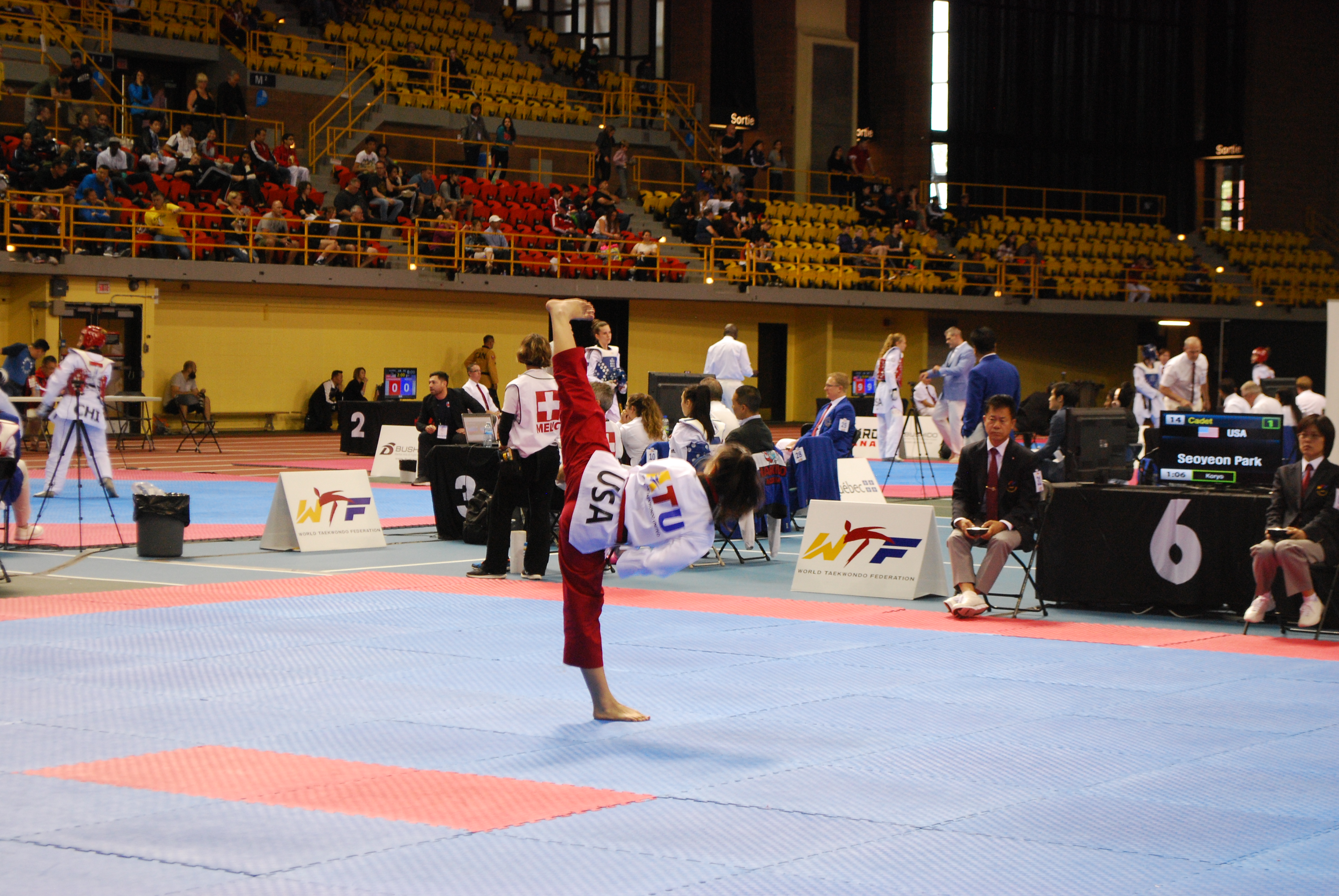 Individual poomsae on the competition mat