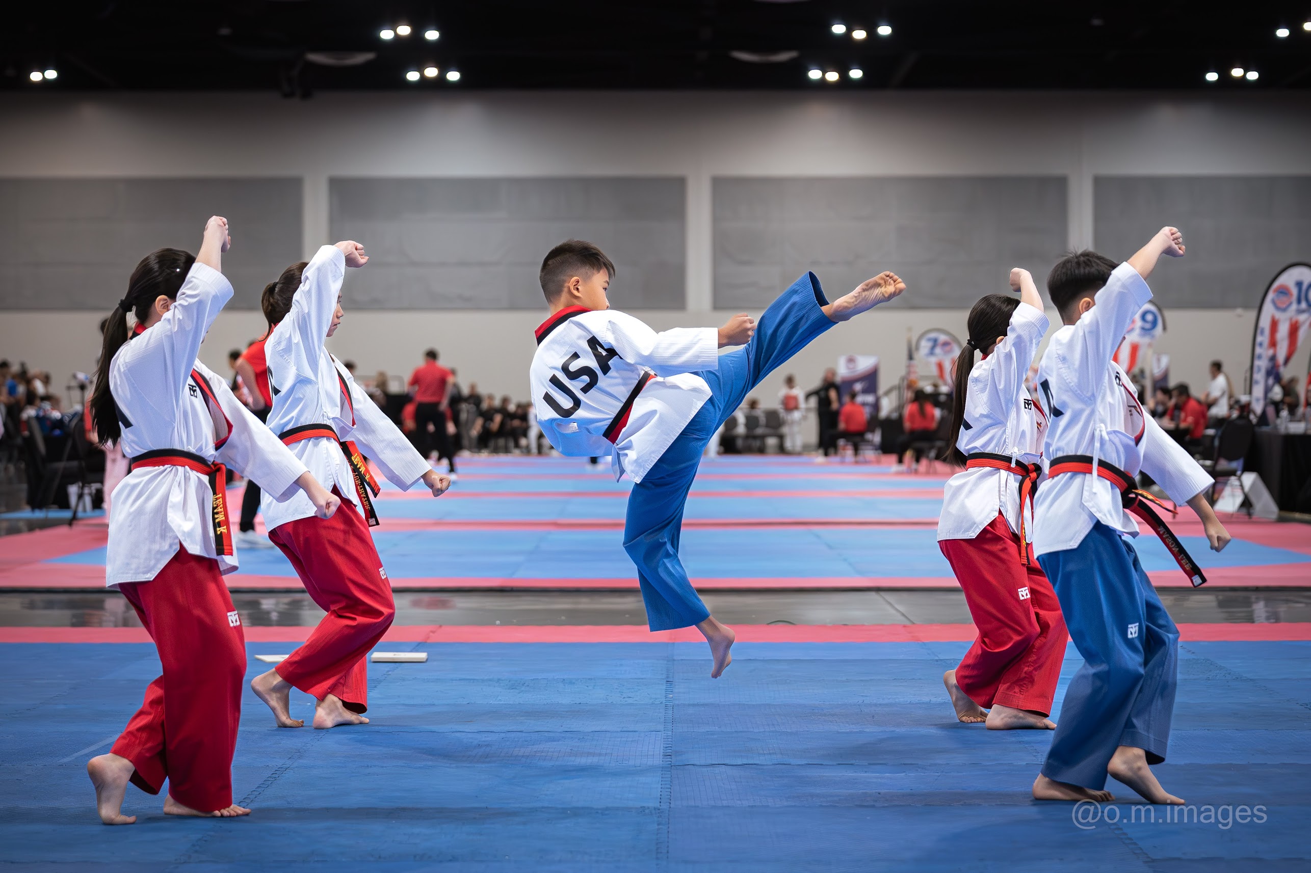 Freestyle Poomsae aerial technique performed by a Demo Team member