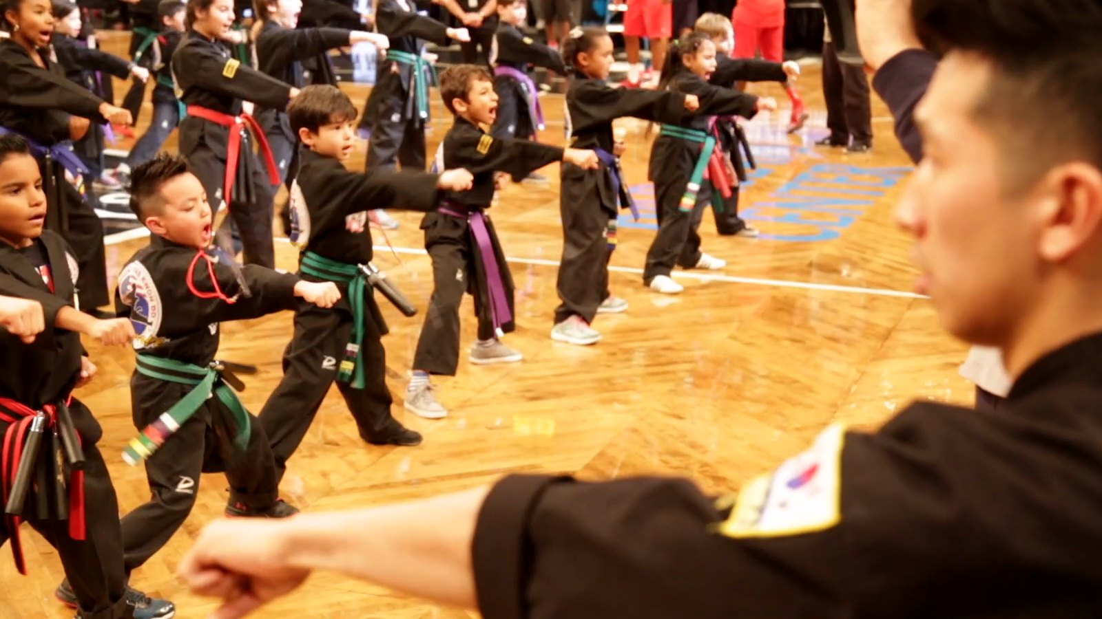 Kids Taekwondo (Ages 6-12)
