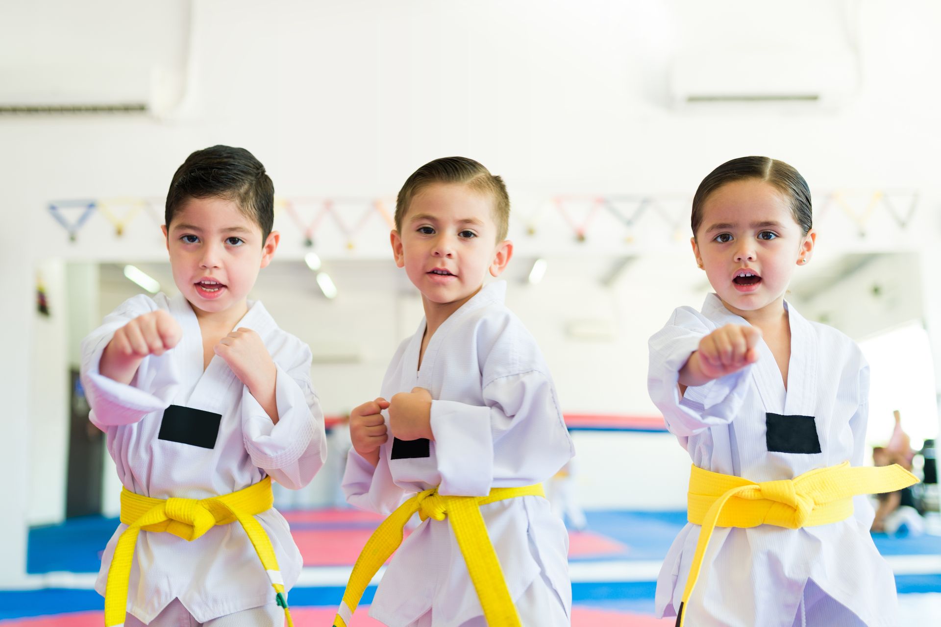 Little Taekwondo students in a ready stance